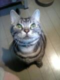 ながお様 ながおくん