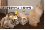 H様 ありがとうくん