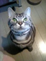 ながお様 ながおくん