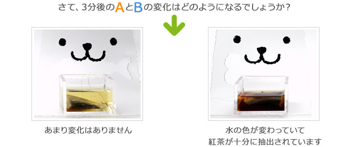 さて、3分後の変化はどうなっているでしょうか？Aはあまり変化はありません。Bはあまり変化はありません水の色が変わっていて紅茶が十分に抽出されています。