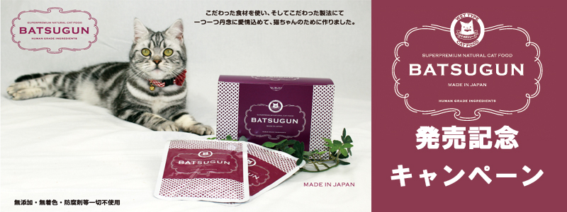BATSUGUN　CAT発売記念キャンペーン！