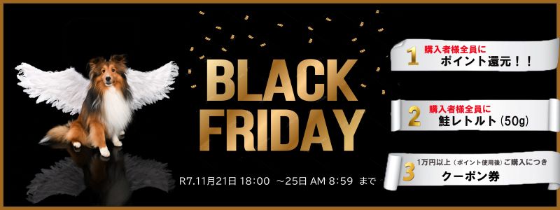 BLACK FRIDAY