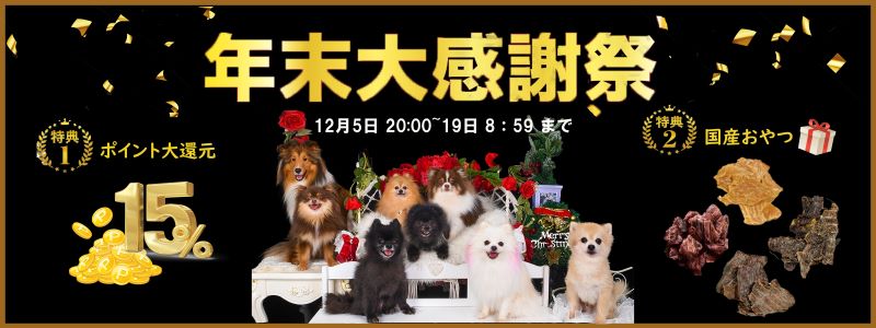 年末大感謝祭