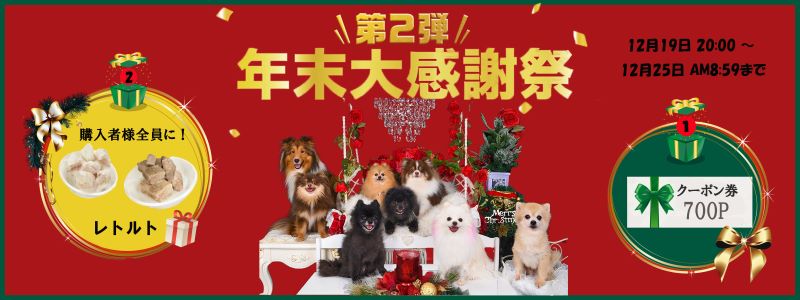 第二弾 年末大感謝祭　～クリスマスプレゼント～