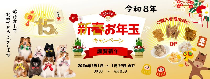 新春お年玉キャンペーン