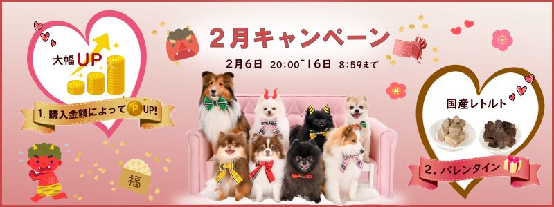 2月キャンペーン