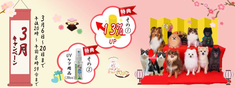 ３月キャンペーン