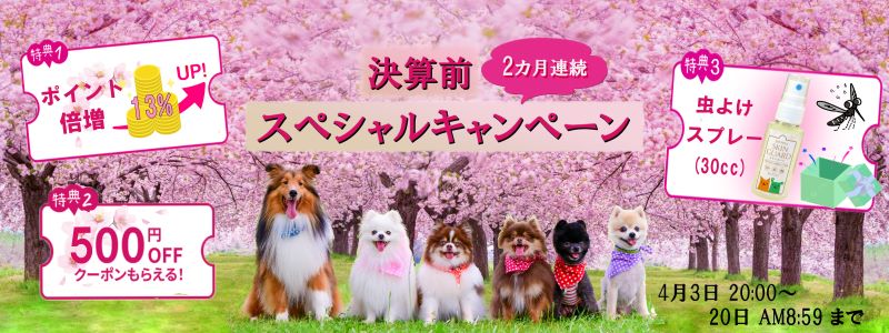 「決算前！ 2か月連続！ スペシャル”キャンペーン♪」