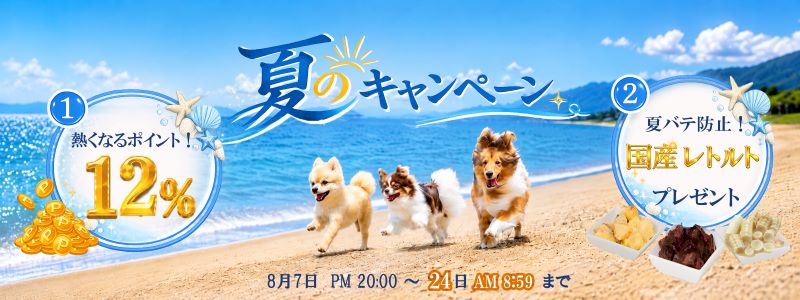 夏のキャンペーン！