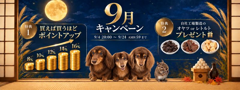 ９月キャンペーン