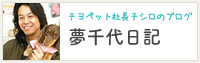 夢千代日記