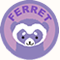 FERRET