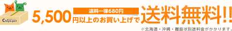 5,500円以上のお買い上げで送料無料!!