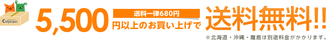 5,500円以上のお買い上げで送料無料！！（送料一律680円）