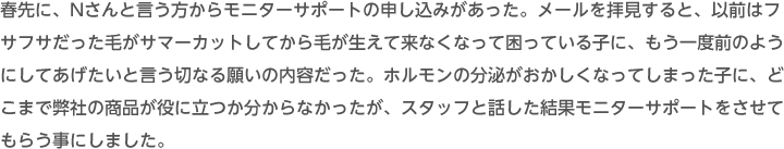 春先に、Nさんと言う方からモニターサポートの申し込みがあった。メールを拝見すると、以前はフサフサだった毛がサマーカットしてから毛が生えて来なくなって困っている子に、もう一度前のようにしてあげたいと言う切なる願いの内容だった。ホルモンの分泌がおかしくなってしまった子に、どこまで弊社の商品が役に立つか分からなかったが、スタッフと話した結果モニターサポートをさせてもらう事にしました。