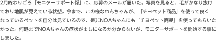 2月終わりごろ「モニターサポート係」に、応募のメールが届いた。写真を見ると、毛がかなり抜けており地肌が見えている状態。今まで、この様なわんちゃんが、「チヨペット商品」を使って良くなっているペットを自分は見ているので、是非NOAちゃんにも「チヨペット商品」を使ってもらいたかった。何処までNOAちゃんの症状がましになるか分からないが、モニターサポートを開始する事にしました。