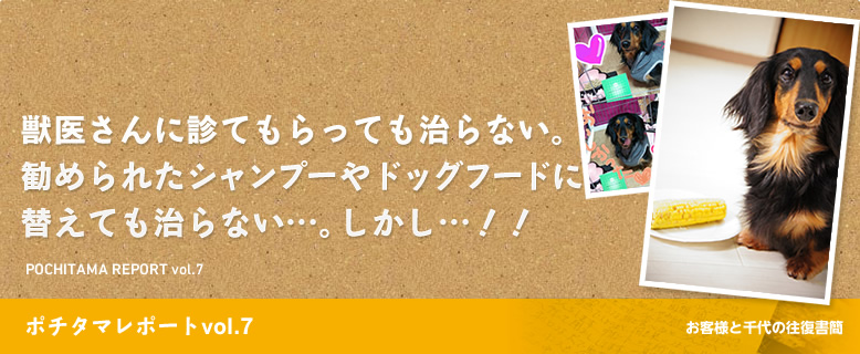 ポチタマレポート07　獣医さんに診てもらっても治らない。勧められたシャンプーやドッグフードに替えても治らない…。しかし…！！