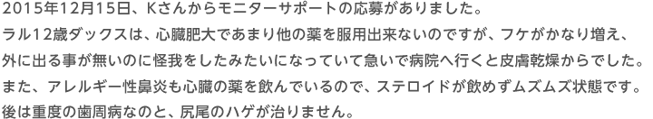 2015年12月15日　Kさんからモニターサポートの応募がありました。ラル12歳ダックスは、心臓肥大であまり他の薬を服用出来ないのですが、フケがかなり増え、外に出る事が無いのに怪我をしたみたいになっていて急いで病院へ行くと皮膚乾燥からでした。また、アレルギー性鼻炎も心臓の薬を飲んでいるので、ステロイドが飲めずムズムズ状態です。後は重度の歯周病なのと、尻尾のハゲが治りません。