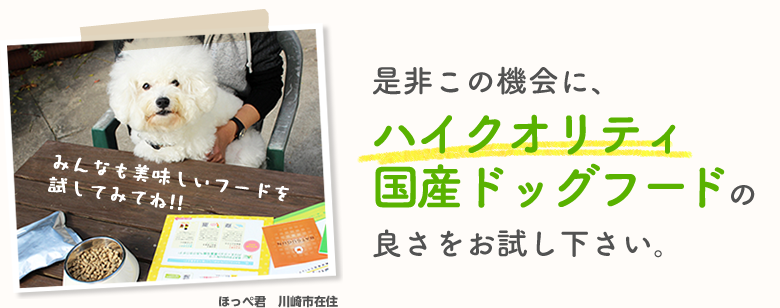 是非この機会に、ハイクオリティ国産ドッグフードの良さをお試し下さい。