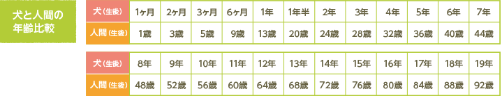 犬と人間の年齢比較