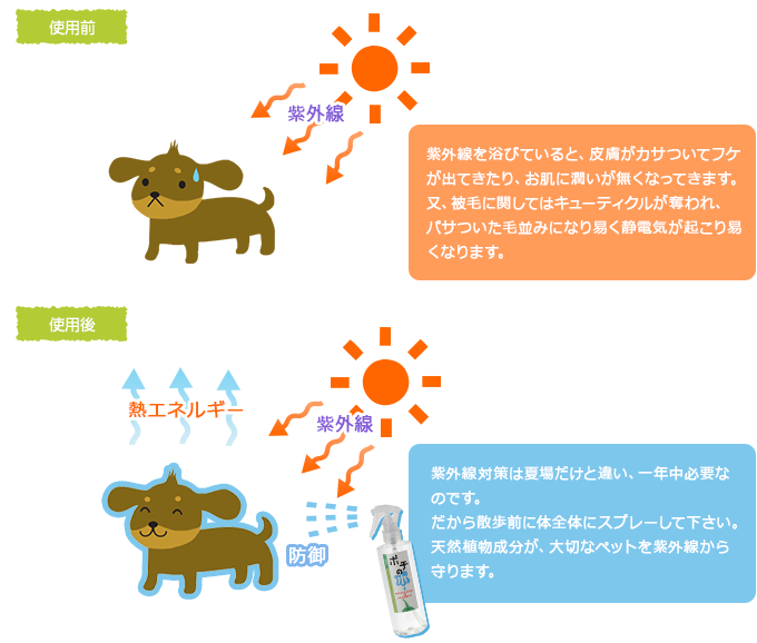 紫外線対策は夏場だけと違い、一年中必要なのです。だから散歩前に体全体にスプレーして下さい。天然植物成分が、大切なペットを紫外線から守ります。