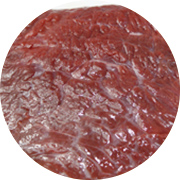 BATSUGUN ドッグフード | ペットの通販サイト チヨペット