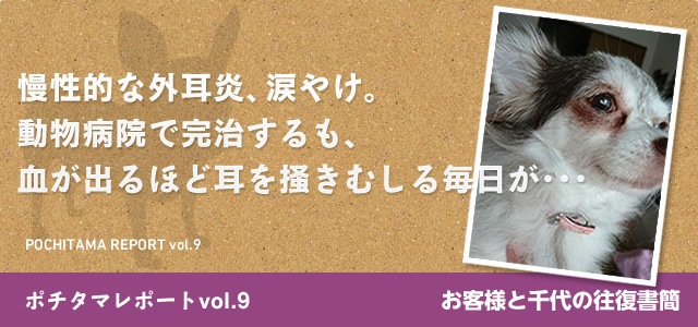 ポチタマレポート09 K様 モニターサポート ペットの通販サイト チヨペット ポチタマレポート09 K様 モニターサポート ペットの通販サイト チヨペット