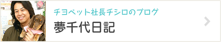 チヨペット社長チシロのブログ　夢千代日記