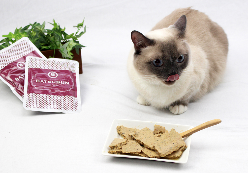 BATSUGUN CAT　Fish　80ｇ