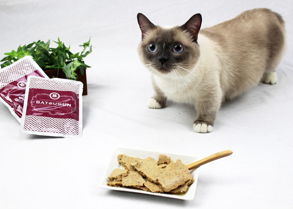 BATSUGUN CAT Chicken　80ｇ